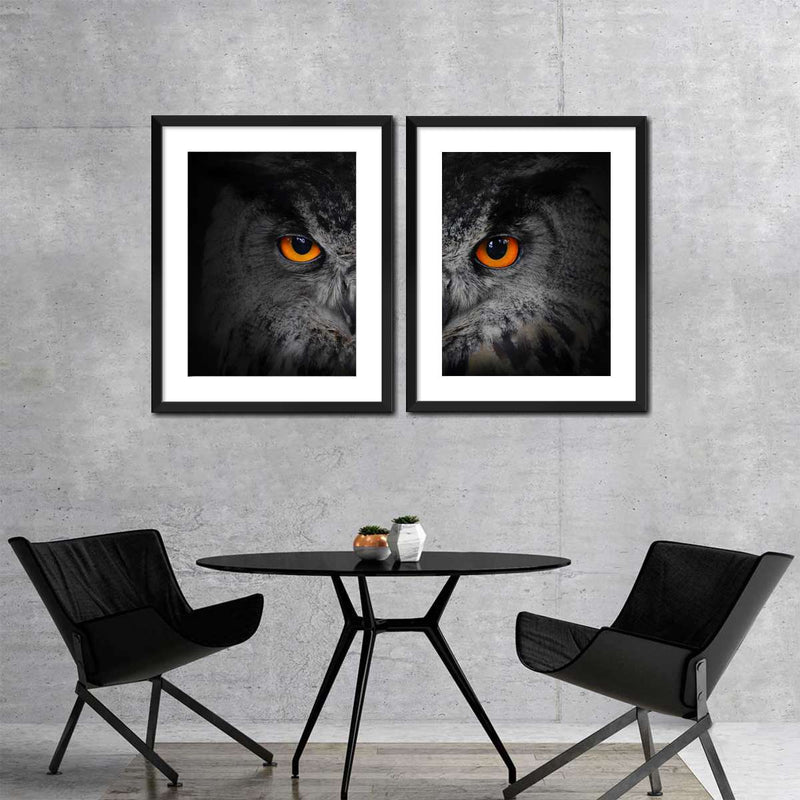Mesmerizing Gray Owl Wall Art
