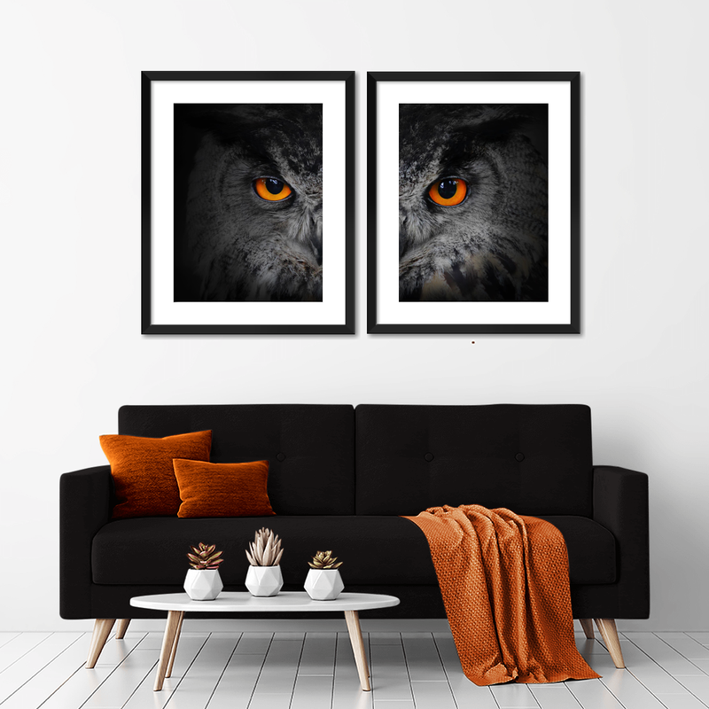 Mesmerizing Gray Owl Wall Art