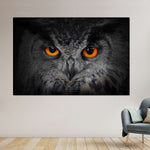 Mesmerizing Gray Owl Wall Art