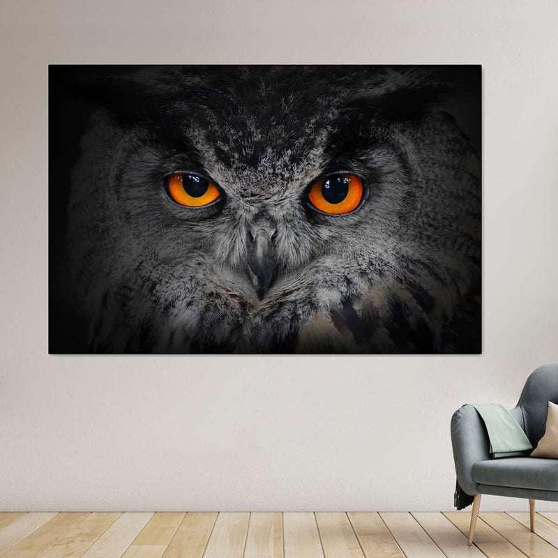 Mesmerizing Gray Owl Wall Art
