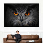 Mesmerizing Gray Owl Wall Art