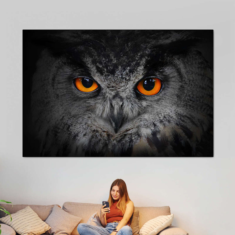 Mesmerizing Gray Owl Wall Art