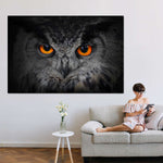 Mesmerizing Gray Owl Wall Art
