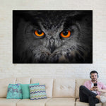 Mesmerizing Gray Owl Wall Art