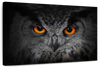 Mesmerizing Gray Owl Wall Art
