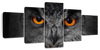 Mesmerizing Gray Owl Wall Art