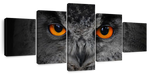 Mesmerizing Gray Owl Wall Art