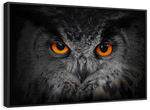 Mesmerizing Gray Owl Wall Art