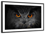 Mesmerizing Gray Owl Wall Art