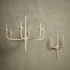 Currey and Company Aleister Chandelier 9000-1140