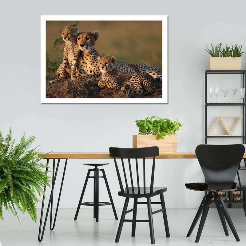 Safari Cheetah Family Wall Art
