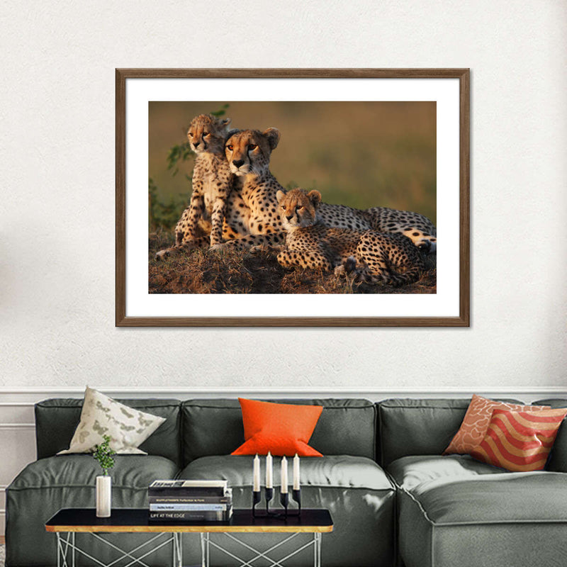 Safari Cheetah Family Wall Art