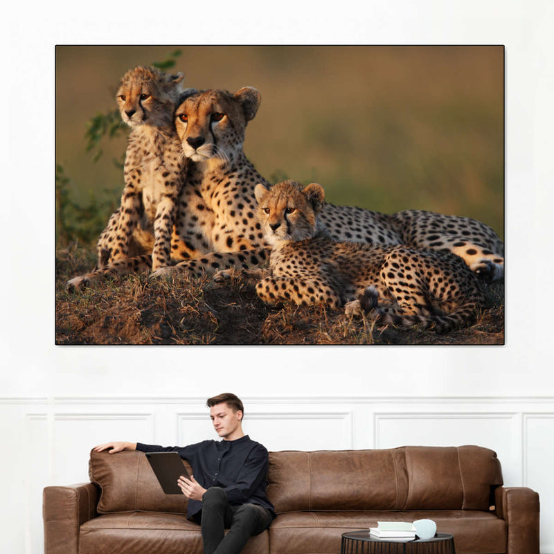 Safari Cheetah Family Wall Art