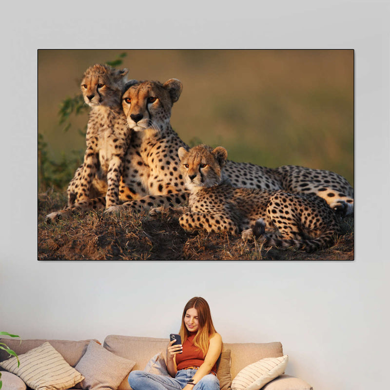 Safari Cheetah Family Wall Art