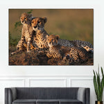 Safari Cheetah Family Wall Art