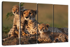 Safari Cheetah Family Wall Art