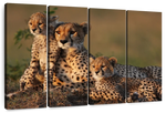 Safari Cheetah Family Wall Art