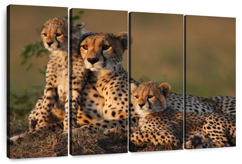 Safari Cheetah Family Wall Art
