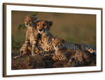 Safari Cheetah Family Wall Art