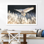 Snowy Owl Hunt Wall Art