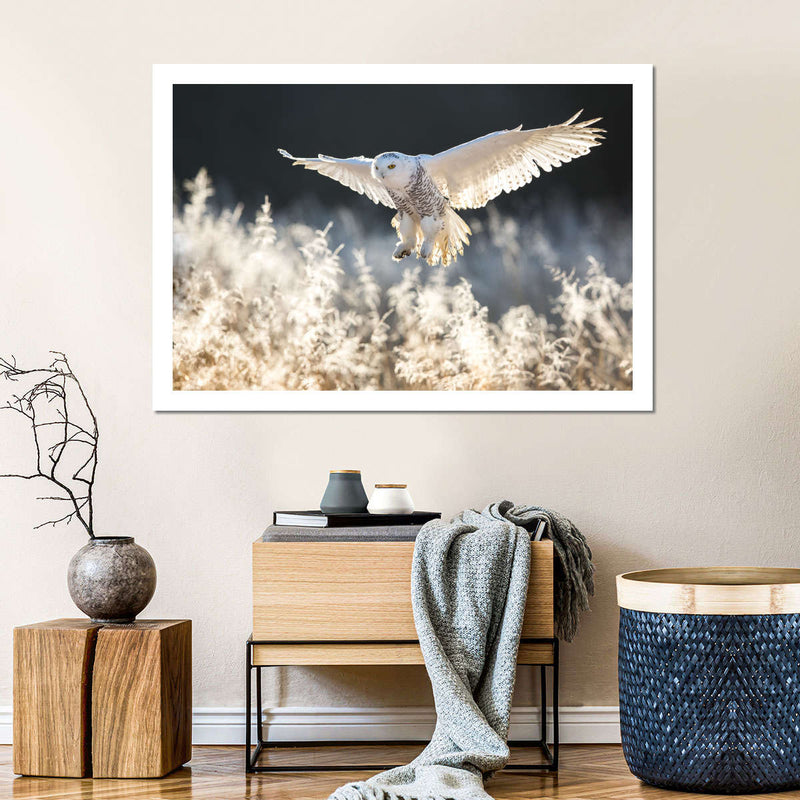 Snowy Owl Hunt Wall Art