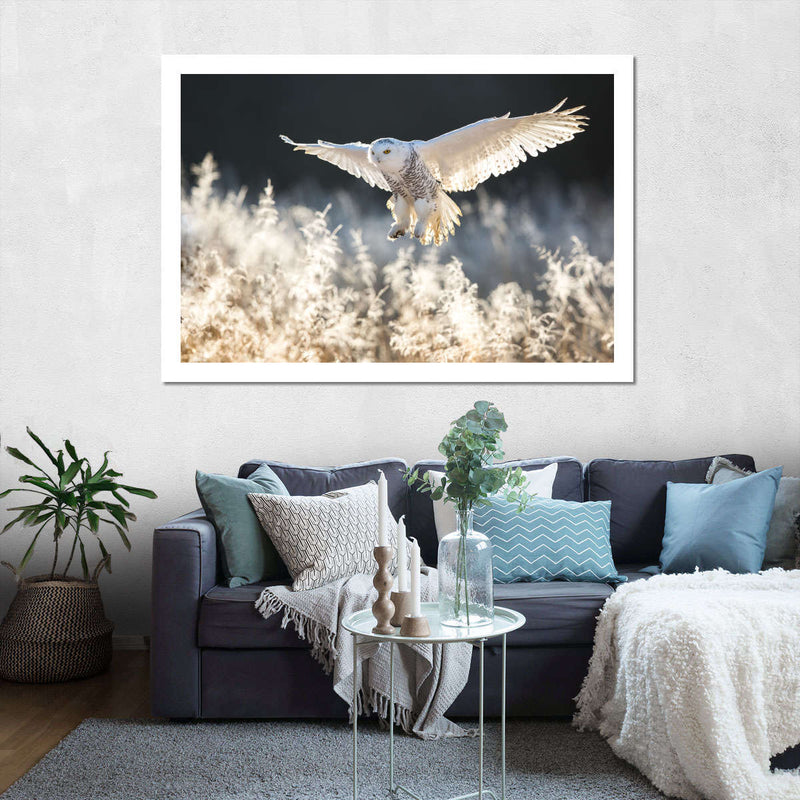 Snowy Owl Hunt Wall Art