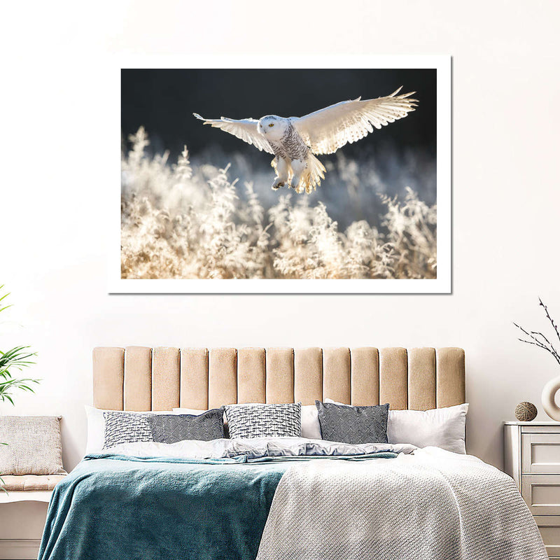 Snowy Owl Hunt Wall Art