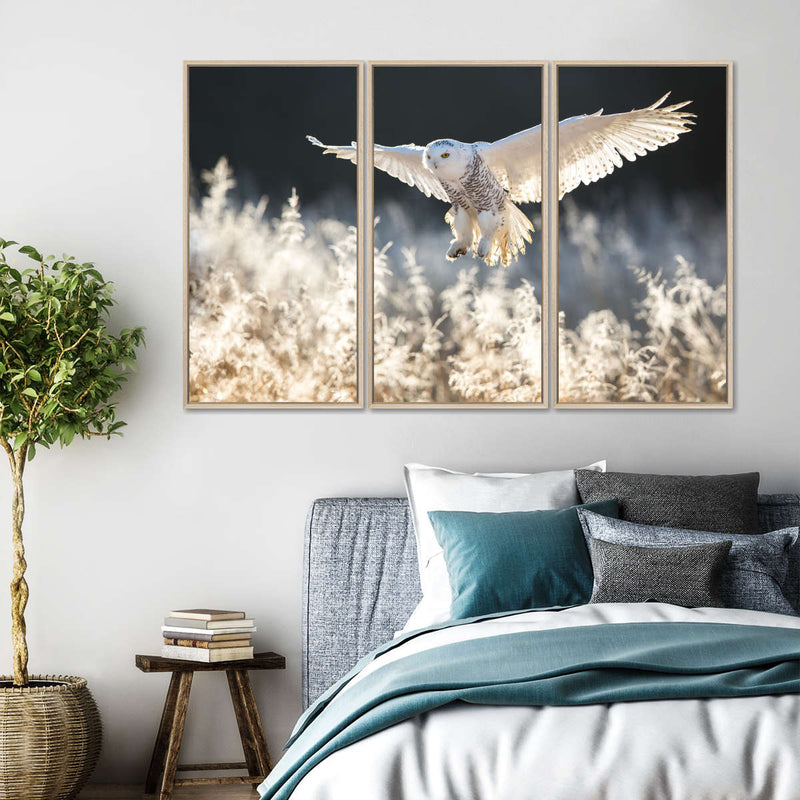 Snowy Owl Hunt Wall Art