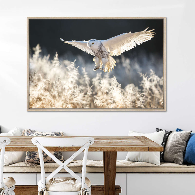 Snowy Owl Hunt Wall Art