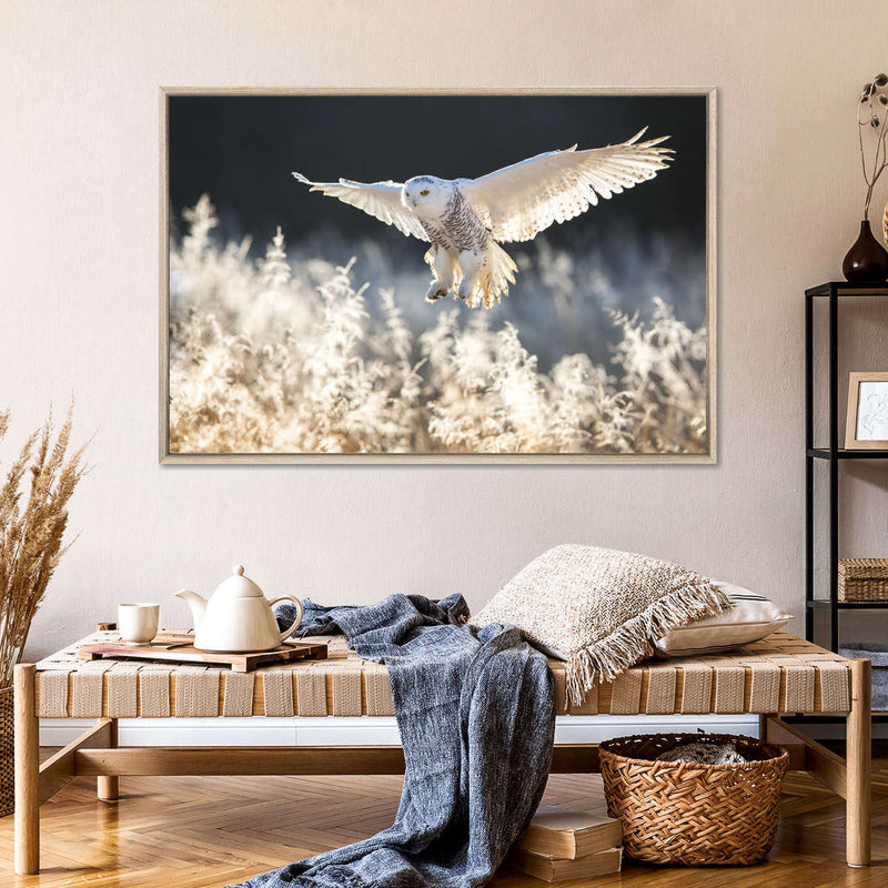Snowy Owl Hunt Wall Art
