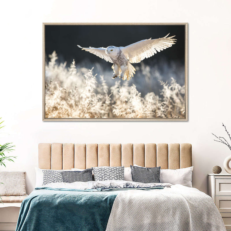 Snowy Owl Hunt Wall Art