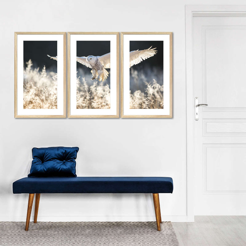 Snowy Owl Hunt Wall Art