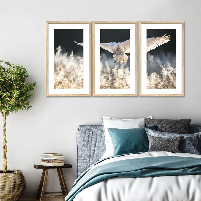 Snowy Owl Hunt Wall Art