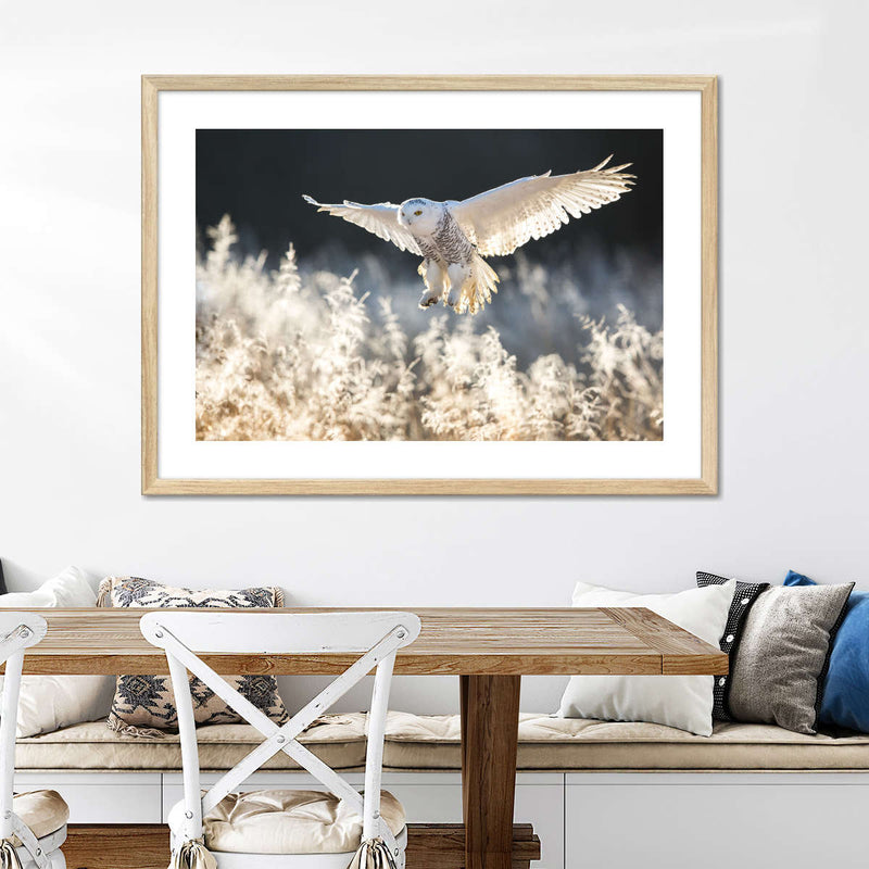 Snowy Owl Hunt Wall Art