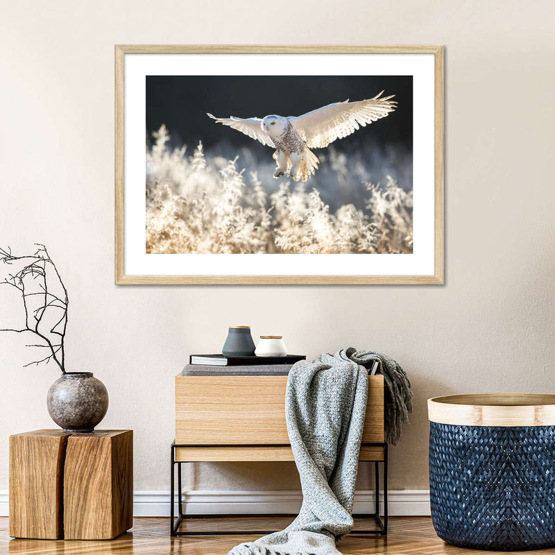 Snowy Owl Hunt Wall Art