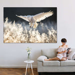 Snowy Owl Hunt Wall Art
