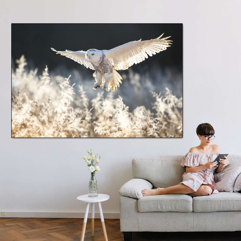 Snowy Owl Hunt Wall Art