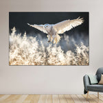 Snowy Owl Hunt Wall Art