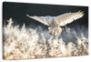 Snowy Owl Hunt Wall Art