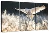 Snowy Owl Hunt Wall Art