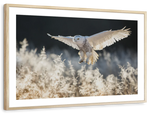 Snowy Owl Hunt Wall Art