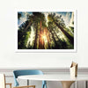 Redwood Trees Sunset Wall Art