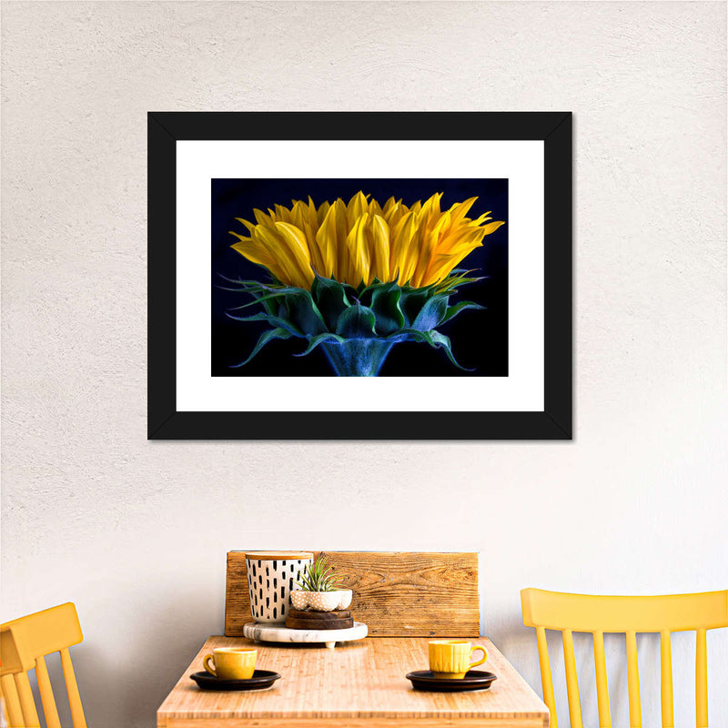 Sunflower Side View Wall Art
