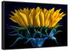 Sunflower Side View Wall Art