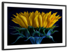 Sunflower Side View Wall Art