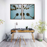 Plane Below Palm Trees Wall Art