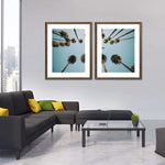 Plane Below Palm Trees Wall Art