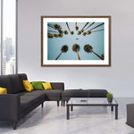 Plane Below Palm Trees Wall Art