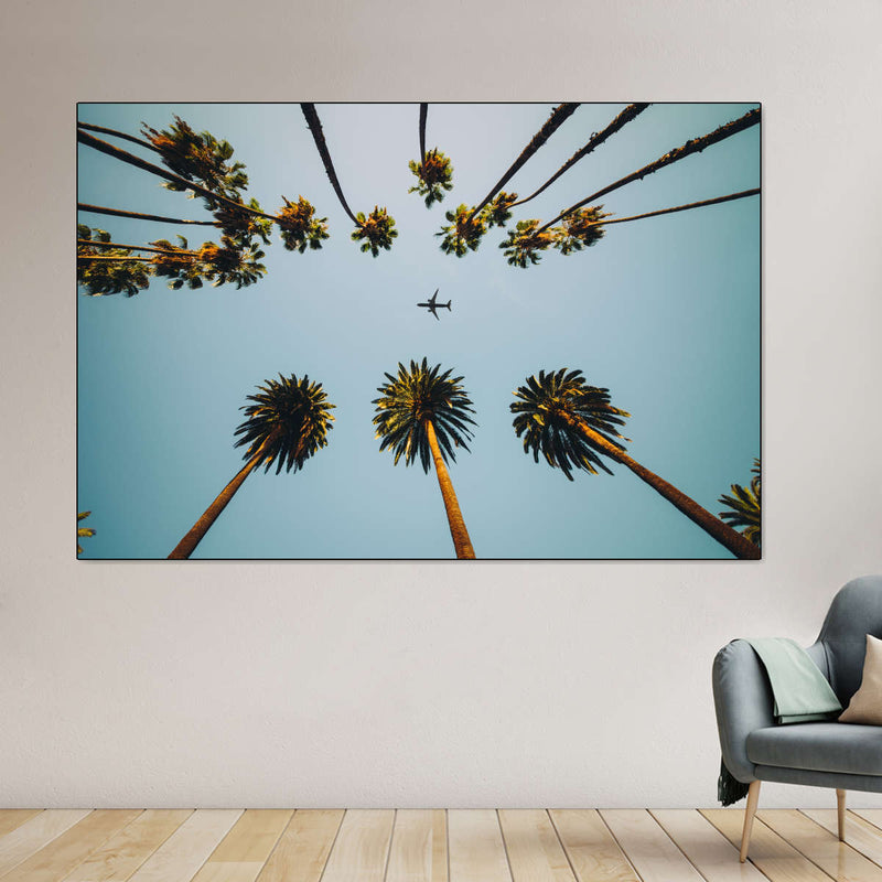 Plane Below Palm Trees Wall Art