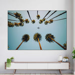 Plane Below Palm Trees Wall Art